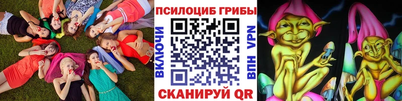 Купить Грозный Псилоцибиновые грибы Cubensis