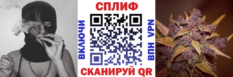 Купить закладки  Грозный  Каннабис гибрид 